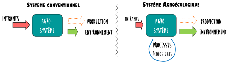 schema_agroecologie