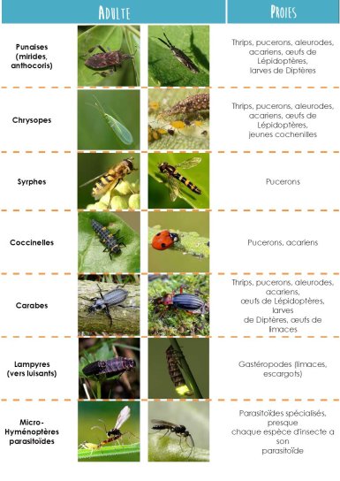 tableauaux
Lien vers: http://agriculture.gouv.fr/sites/minagri/files/documents/pdf/aa103_p12-21_cle0f8eaf.pdf