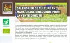 CalendrierMaraichage3_illustration-calendrier-culture.png