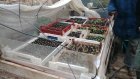 CivamDuGard102_img54.jpg