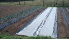 CivamDuGard104_img70.jpg