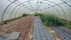 CivamDuGard105_img73.jpg