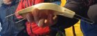 CivamDuGard109_img90.jpg