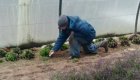CivamDuGard110_img91.jpg