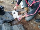 CivamDuGard113_img64.jpg