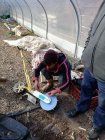 CivamDuGard115_img66.jpg