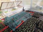 CivamDuGard116_img71.jpg