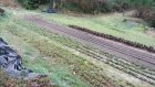 CivamDuGard78_img37.jpg