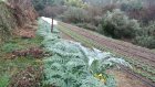 CivamDuGard80_img41.jpg