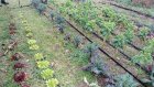 CivamDuGard81_img33.jpg