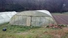 CivamDuGard98_img46.jpg
