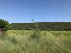 CompteRenduEpiaSeance28_img_4695.jpeg