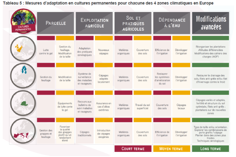 image Mesures_adaptation_cultures_perennes_europe.png (0.2MB)