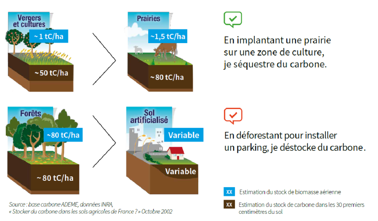 image Evolution_stock_carbone.png (0.3MB)