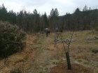 FdCivamDuGard17_img_20220308_152830.jpg