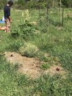 FdCivamDuGard25_img_4437.jpeg