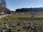 FdCivamDuGard7_img_20220126_132030.jpg