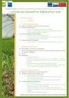 FermoscopieClementEtDelphine_fermoscopie-clement-et-delphine_page-0001.jpg
