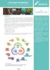 FruitsEtLegumesFicheN35LaPermaculture_fiche-frab-bretagne-permaculture_bd.jpg