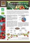 ressourcesmicroma_no_fiche_la_commmercialisation_des_fel_bio_en_circuits_courts_sud_et_bio_2013_vignette_300_209.png
