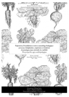 LesTrajectoiresDInstallationEnMicrofermes_mmoire_microma_2018_civam_hloise_version_anonyme_sans_annexes.png