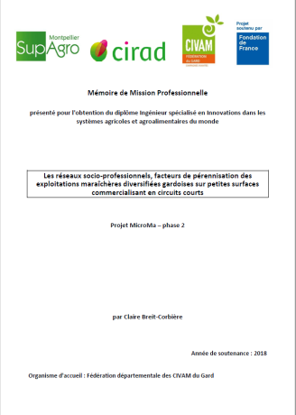 image Mmoire_rseaux_socio_pro_Claire_Breit_P1.png (72.0kB)