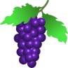 image viticulture.png (45.9kB)