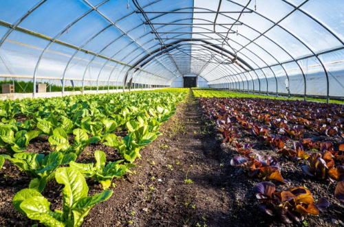 image figure65.png (0.8MB)