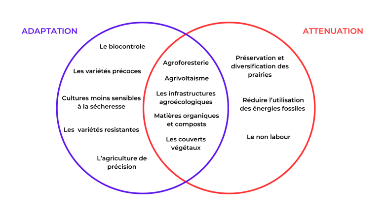 image Schema_attnuation_adaptation.png (0.2MB)