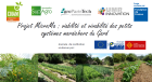 ProjetMicromaViabiliteEtVivabiliteDesPe_prsentation_microma__13_dc__hloise_barbe_v2.png
