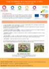 ProjetPeiMimabioMicroMaraichageBioEnPaca_bulletin-technique-2019_vf.jpg