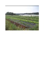 image Microferme_agribio_page0001.jpg (0.4MB)