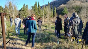Seances1Agroforesterie_image_1600_1200_civamdugard28_seance2-2-.jpg