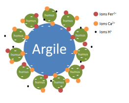 image Complex_argilohumique.png (36.8kB)
Lien vers: ?ComPlexe