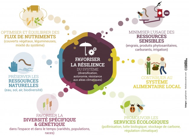 image agroeco_OSAE.jpg (67.5kB)
Lien vers: http://www.osez-agroecologie.org/index.php