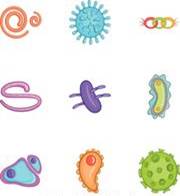 NBV
Lien vers: http://biojardinservices.com/jardinage-bio/articles-jardin/bio-controle-comment-utiliser-les-nematodes-auxiliaires.php
