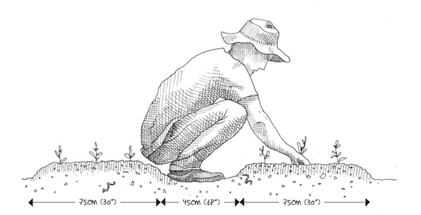 image 7_espacement__copie.jpg (38.2kB)
Lien vers: http://ecosociete.org/livres/le-jardinier-maraicher
