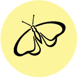 image pt_principle_12.gif (2.5kB)