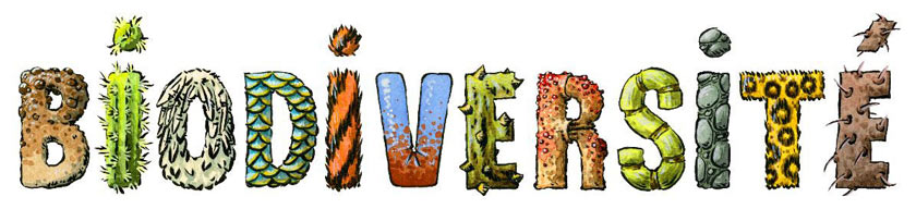 biodiversite
