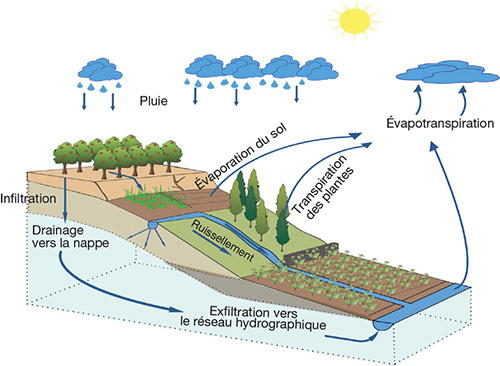 image figure38.png (0.2MB)