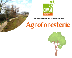 Agriculture syntropique : créer un système résilient en climat méditerranéen