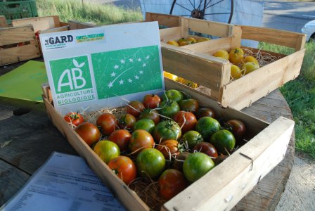 Ciné-débat - Agriculture Biologique, quels impacts sur la vie de nos sols ?