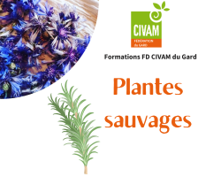 Cueillette et valorisation des fruits sauvages