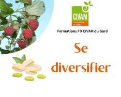 Culture de champignons de souche bio