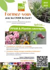 visuelformationsppamplantes.jpg