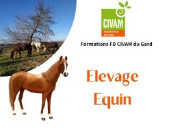 Gestion raisonnée du parasitisme en élevage équin