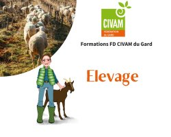 Gestion raisonnée du parasitisme en élevage ovin, caprin, bovin