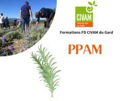 Installation en PPAM bio, du choix du terrain à la plantation