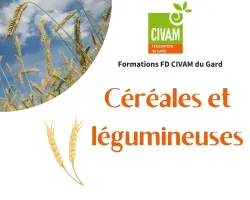 Itinéraire technique du pois chiche bio