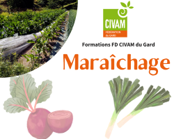 Maraîchage sur sol vivant : cultiver et renforcer la fertilité des sols